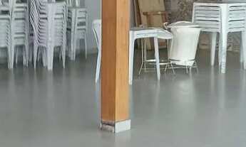 Imagem 3: Taubaté Condomínio Oasis 250 m terreno privilegiado De 293mil p/ 280 mil