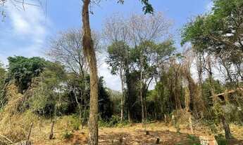 Imagem 3: LOTE vila boa Pirenópolis-GO fundo de área de reserva