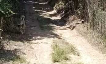 Imagem: Excelente imóvel de 500 m2