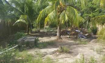 Imagem 5: Vende-se Casa com Amplo Terreno em Pindaré-Mirim/MA