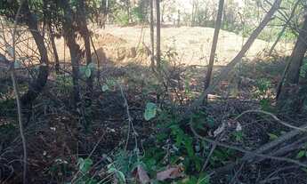 Imagem 5: Vende-se chácara