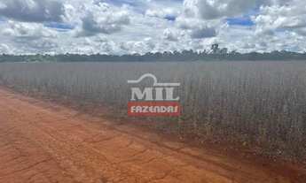 Imagem 2: Fazenda 125 alqueires (605 Hectares) Piranhas - GO