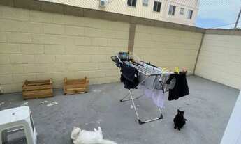 Imagem 7: APARTAMENTO próx. shopping pátio