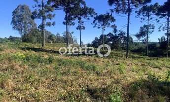 Imagem 6: Terreno no Costeira / Araucária - 23.222m2