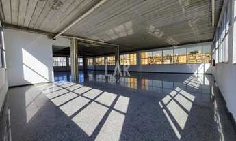 Imagem 2: Andar Corrido para aluguel, 5 vagas, Estoril - Belo Horizonte/MG