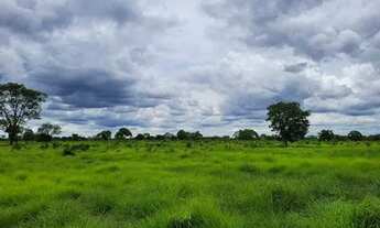 Imagem 5: FAZENDA COM 6.135HA NA REGIÃO DO RIO CUIABÁ RICA EM ÁGUAS