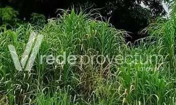 Imagem 5: Terreno - Vila Aeroporto - Campinas