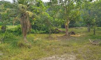 Imagem 4: Vende-se um excelente terreno!