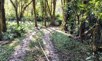 Imagem 6: Sítio à venda 02 dormitórios em Santo Antonio da Patrulha