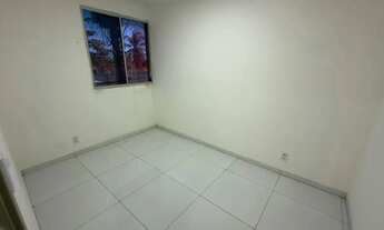 Imagem 7: Bosque das casuarinas