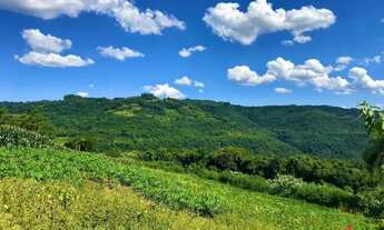 Imagem: Sítio / Chácara para Venda em Nova Petrópolis