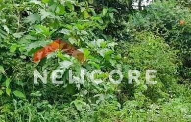 Imagem 5: Lote em - Antes de Iranduba - Iranduba/AM