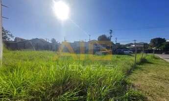 Imagem 7: Lote Terreno Plano Pertinho Rodovia Fluminense São Pedro