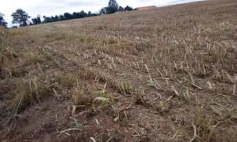 Imagem 2: Sitio em casa branca 17 alqueires 6.000.000.00 ( j-ca