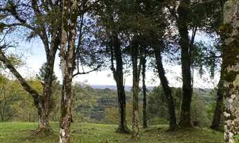 Imagem 4: Lote em condomínio em Av Borges de Medeiros - Mato Queimado - Gramado/RS
