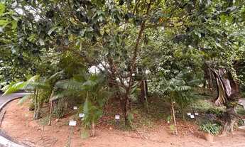 Imagem 4: Edf Pedra do Parque