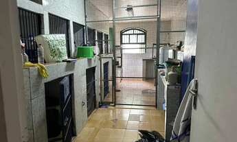 Imagem 7: Sobrado Comercial 250m2 - Pedreira