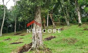 Imagem 4: Lote em Rua dos Pessegueiros - Campo do Meio - São Francisco de Paula/RS