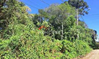 Imagem 2: Lote em Rua São Gotardo - São Bernardo - São Francisco de Paula/RS