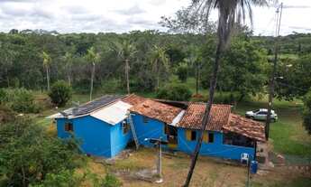 Imagem: Fazenda para venda, Zona Rural, Rosário