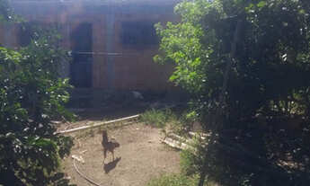 Imagem 6: Chácara em Botafogo Cabo Frio-Rj 180 mil