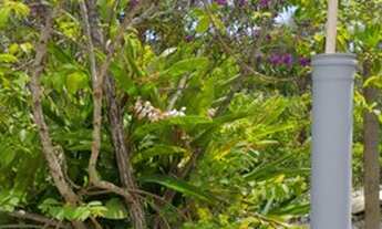 Imagem 6: Sítio pronto para investir