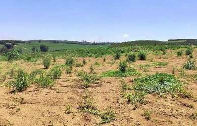 Imagem 4: Loteamento/condomínio à venda em Fazendinha, Salto de pirapora cod:62601