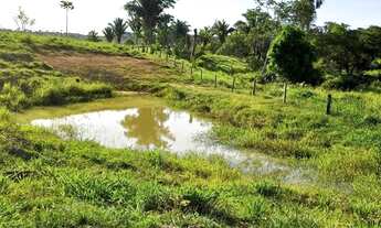 Imagem 3: Sítio 18 alqueires Vale do Paraíso