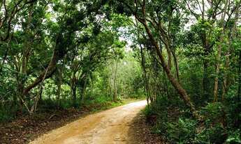 Imagem 4: Lançamento. Áreas de 20.000m² por Apenas 22.010 + Parcelas