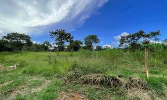Imagem 2: Chácaras de 1.500 m2 100% planas em Igarapé