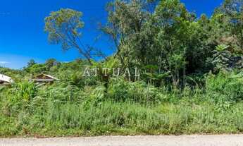 Imagem 2: CANELA - Terreno Padrão - Alpes Verdes