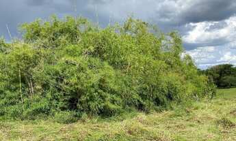 Imagem 5: Chácaras de mil Mt 40 km de Goiânia ótimo oportunidade !