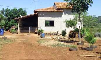 Imagem 5: Alugo chacara de 2000 metros