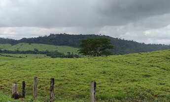 Imagem: Fazenda 330 alqueires Região de Ariquemes