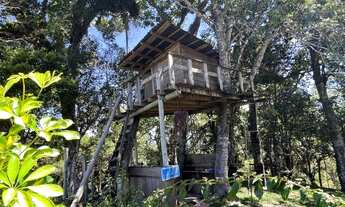 Imagem: Sítio Pequeno Paraíso - Antônio Carlos