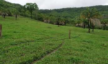 Imagem 6: Fazenda Município de Heitorai - Go<br>22 Alqueires