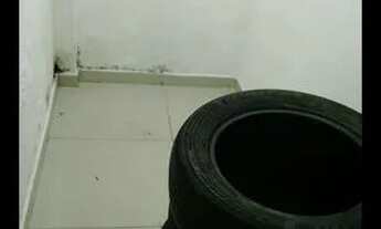 Imagem 7: Aluga-se 1 Salas e 2 Box