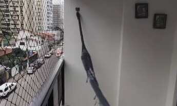 Imagem 4: Apartamento para venda com 76 metros quadrados com 2 quartos em Praia da Costa - Vila Velh