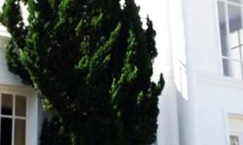 Imagem 2: BARUERI - Casa Padrão - Alphaville