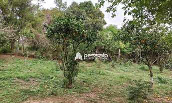 Imagem 6: Área à venda, 3146 m² por R$ 585.000,00 - Barnabé - Gravataí/RS