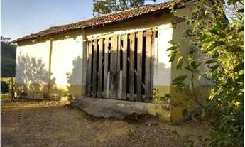 Imagem 3: Fazenda - Fazenda Cachoeira - Ilicínea