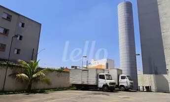 Imagem 6: São Paulo - Galpão/Depósito/Armazém - Pari