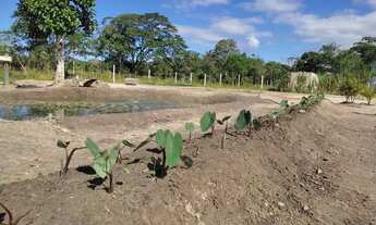 Imagem 7: CHÁCARA EM ITANHAÉM LITORAL SUL DE SÃO PAULO