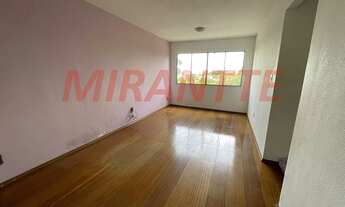 Imagem 2: Lindo apartamento em Barro Branco