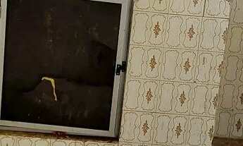 Imagem 5: Alugo quarto e sala na entrada do Engenho Velho de Brotas