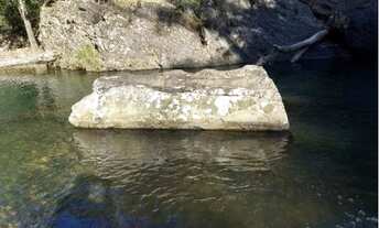 Imagem 4: Fazenda - Fazenda Cachoeira - Ilicínea