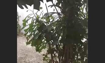 Imagem 5: Alugo casa em Pavuna