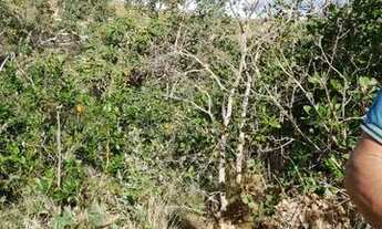 Imagem 2: Lote em Vargem Grande dos carros buritis