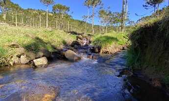 Imagem 5: OPORTUNIDADE BARATA NA SERRA CATARINENSE EM LOCAL ONDE NEVA!
