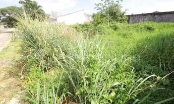 Imagem 4: TERRENO à venda em Peruíbe, no bairro Jardim Marcia